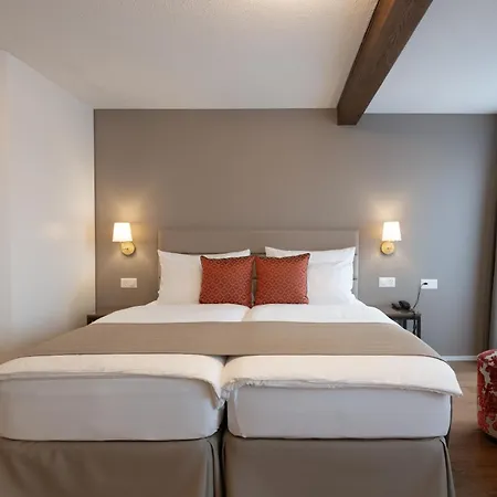 Des Alpes Hotel 3*