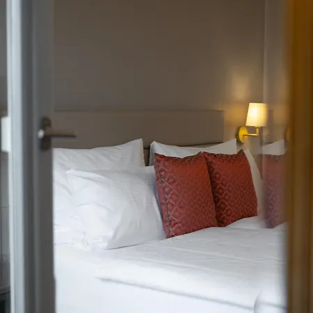 Hotel Des Alpes 3*